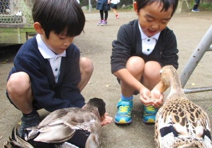 あゆみ幼稚園の教育方針