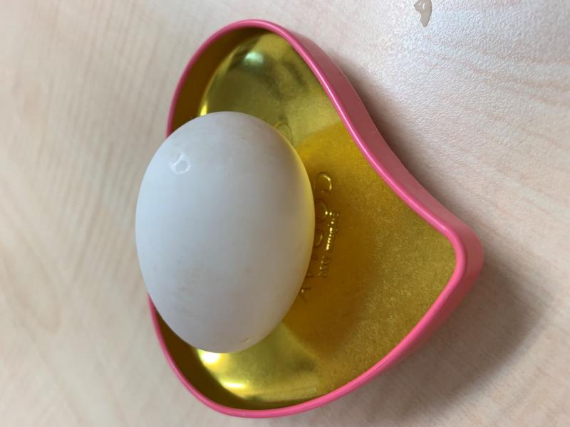 振替休園のお知らせです。とたまごのおはなし