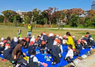 みかん狩り遠足にいきました