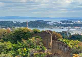 みんなで歩く日